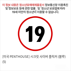 [미국 PENTHOUSE] 시크릿 사이버 플릭커 (블루) (5)