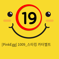 1009_스타킹 (카터벨트 포함)